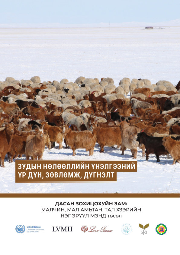 Зудын нөлөөллийн үнэлгээний үр дүн, зөвлөмж, дүгнэлт — нүүр
